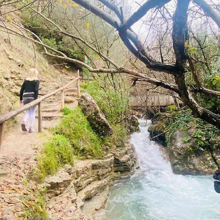 Apartamento Rural La Leyenda El Bosque Kültér fotó