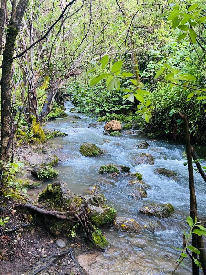 Apartamento Rural La Leyenda El Bosque Kültér fotó